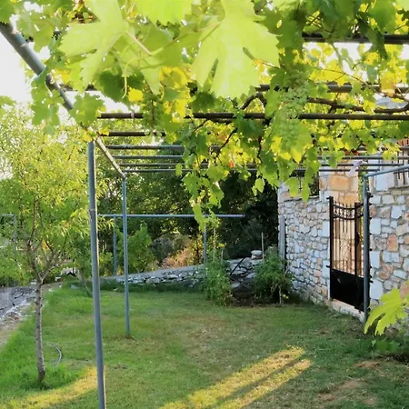 Vasilis House Σπίτι διακοπών